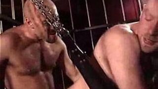 Skinhead Dad Cums A Lot - porn video