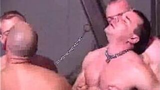 Bears Group Suckfest - porn video