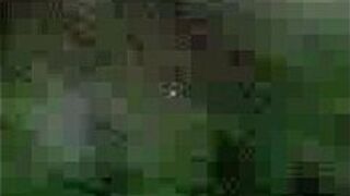 LostInTheWilderness masturbates on demand - porn video