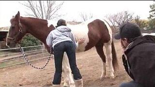 Cow Girls First Time Anal - porn video