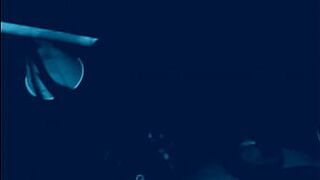 Head in da strangest places - porn video